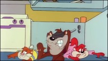 Taz-Mánia 1. Évad 1. Epizód online sorozat